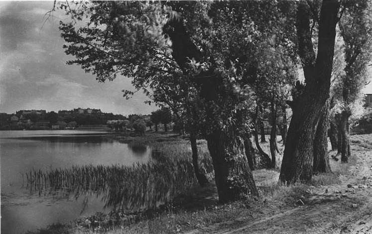 1930 Landschaft bei Deutsch-Eylau in Ostpreußen